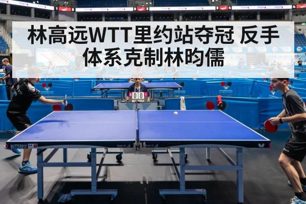 林高远WTT里约站夺冠 反手体系克制林昀儒